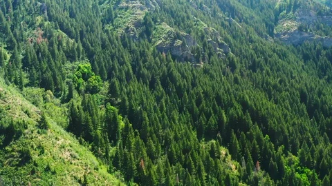 We fly towards a mountainside full of pine trees in Utah Uinta National Forest Stock-Footage 122536285