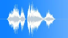 We have chance Sound Effect