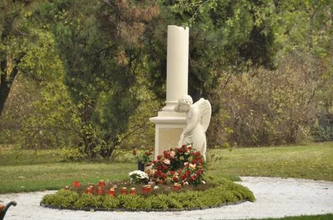 We lost the star Stock Photos