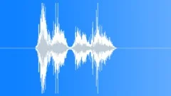 We lost this war Sound Effect