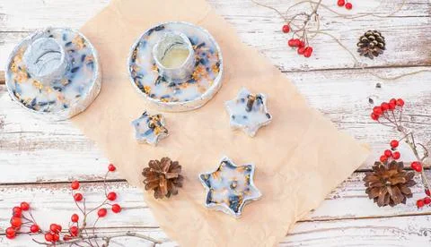 We make our own bird food in foil molds from bacon and seeds. Winter bird f.. Stock Photos