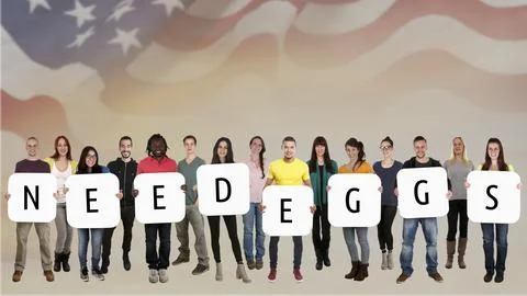 We Need Eggs Please Help Us Stock Illustration