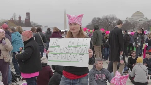 We Need Intersectional Feminism Protest Sign - Womens March DC Stock Footage 81257609