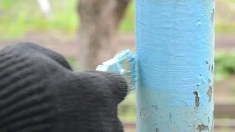 We paint the rusty pipe with a brush,blue paint. Stock Footage 140579197