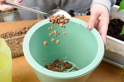 We pour small expanded clay into a green container for planting. Stock Photos