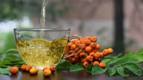 We pour the tea in a transparent mug. a thin trickle of hot tea. 動画素材 94258255