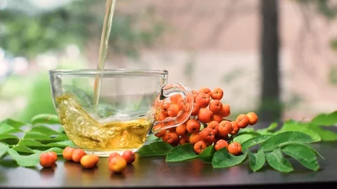 We pour the tea in a transparent mug. a thin trickle of hot tea. Stock Footage 94258276