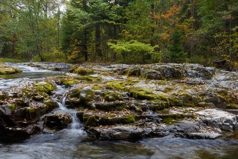 We run a small river over the stones in the forest. Stock Photos