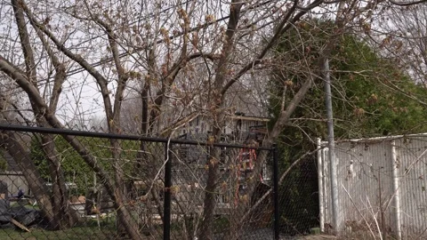 We see two people working to install cladding on an exterior wall. Video stock 310328438