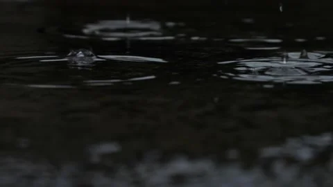 We shot heavy rain slow motion. Stock Footage 206574271