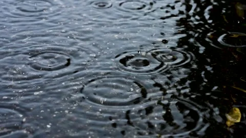 We shot heavy rain slow motion. Stock Footage 289953993