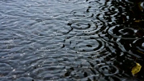 We shot heavy rain slow motion. Video stock 291597934