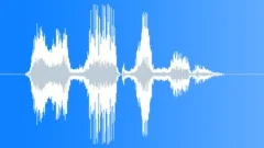 We will fight for freedom Sound Effect
