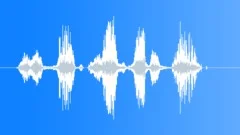 We will fight to last drop of blood Sound Effect