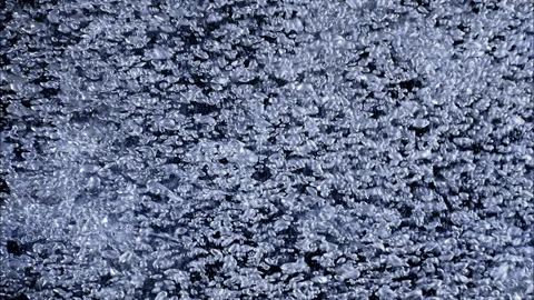 WE202H Stock Footage 201070822