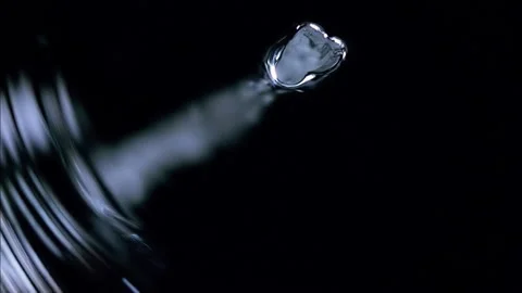 WE206H Video stock 201070774