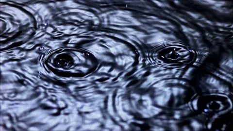 WE209H Vídeo Stock 201070802