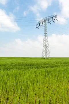 Weadow Whit electric pole Stock Photos