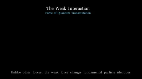 The Weak Force - Force of quantum transmutation Stockbeeldmateriaal 340085676