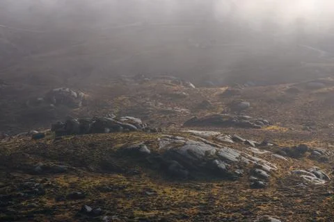 Weak winter sun barely pierces the fog in the rocky landscape Stock Photos
