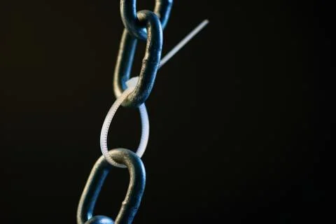 The Weakest Link Stock Photos