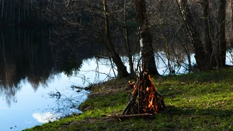 Weakly Burning Bonfire by Forest River Stock Footage 188157863
