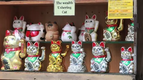 Wealth ushering cats Stock Footage 10886907