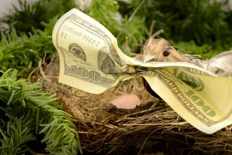 Wealthy Nest Egg Stock Photos