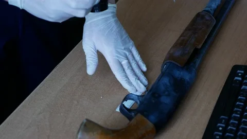 Weapon inspection by an expert scale bar crime Stock Footage 146798388