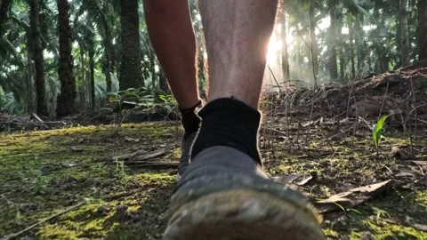 Wearing exercise sneaker Stock Footage 340484349