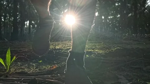 Wearing exercise sneaker Stock Footage 340484375
