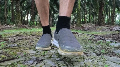 Wearing exercise sneaker Stock Footage 340484382