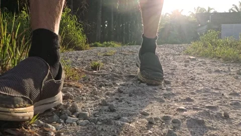 Wearing exercise sneaker Stock Footage 340484401
