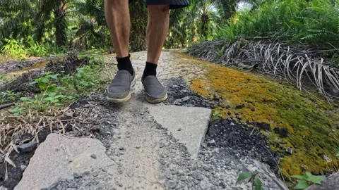 Wearing exercise sneaker Stock Footage 340484410