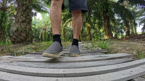 Wearing exercise sneaker Stock Footage 340484413