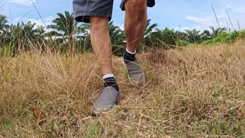 Wearing exercise sneaker Stock Footage 340484433