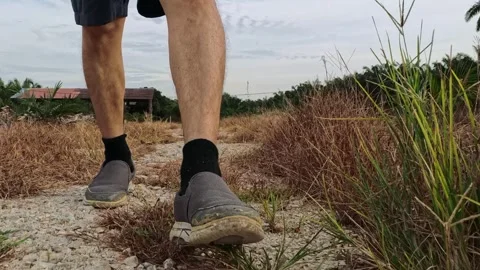 Wearing exercise sneaker Stock Footage 340484447
