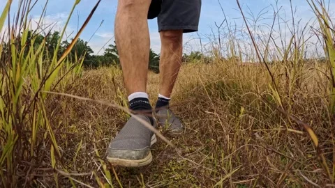 Wearing exercise sneaker Stock Footage 340484460