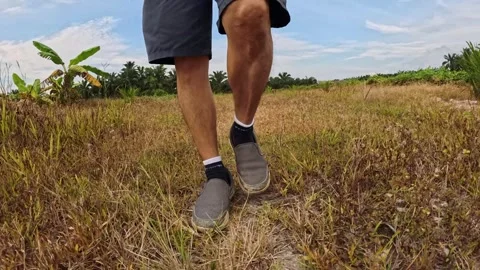 Wearing exercise sneaker Stock Footage 340484486