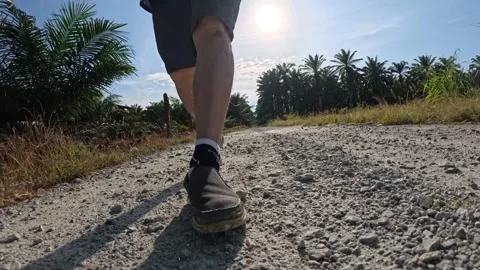 Wearing exercise sneaker Stock Footage 340484514