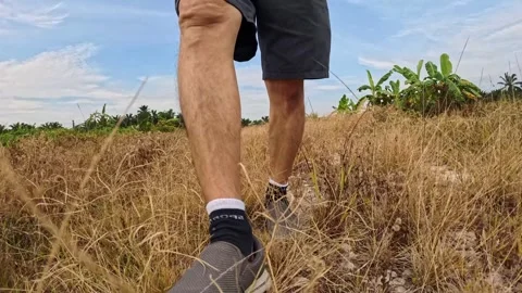 Wearing exercise sneaker Stock Footage 340484517