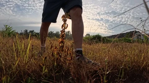 Wearing exercise sneaker Stock Footage 340484531