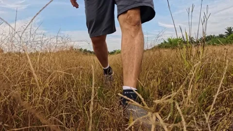 Wearing exercise sneaker Stock Footage 340484539