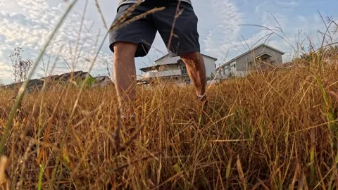 Wearing exercise sneaker Stock Footage 340484562
