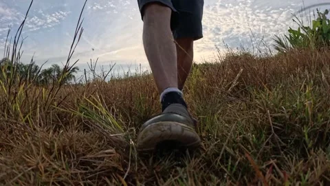 Wearing exercise sneaker Stock Footage 340484576