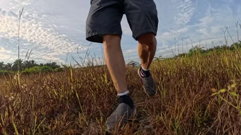 Wearing exercise sneaker Stock Footage 340484579