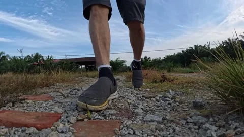 Wearing exercise sneaker Stock Footage 340484597