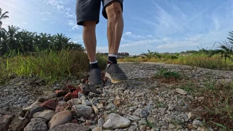 Wearing exercise sneaker Stock Footage 340484601