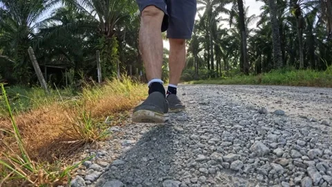 Wearing exercise sneaker Stock Footage 340484616