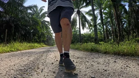 Wearing exercise sneaker Stock Footage 340484628